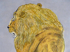 "Rubens' lion's mate"
Huile sur papier  40cm x 20cm
